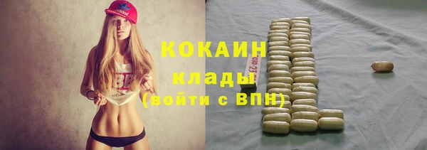 стафф Горняк