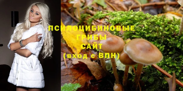 стафф Горняк