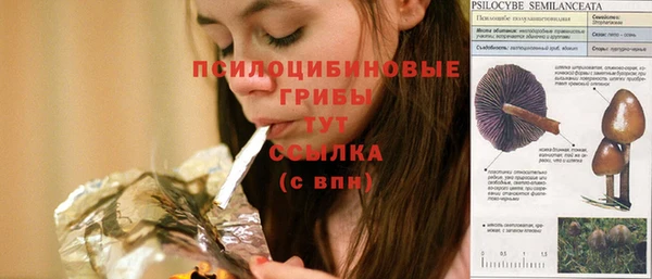 стафф Горняк