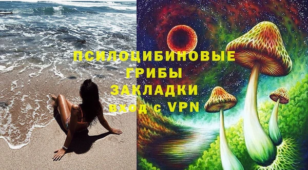 стафф Горняк